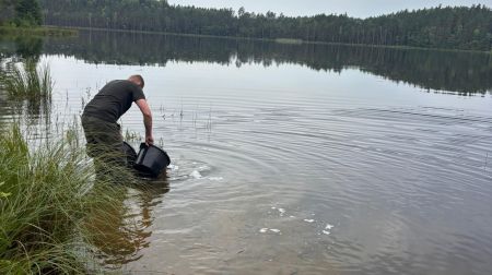 Jēkabpils novada ūdenstilpēs papildināti zivju resursi 