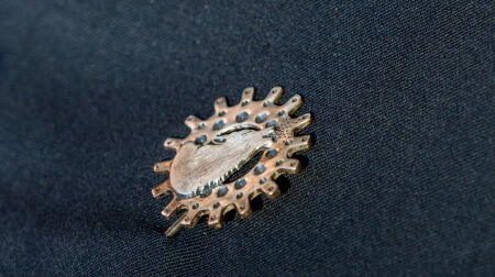 Paziņoti “Sēlijas sudrabs 2025” laureāti