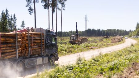 Pirmie atmežošanas darbi militārā poligona 