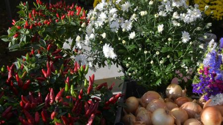 Jēkabpilī nosvinēta Miķeļdiena