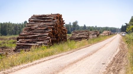 Notiek pirmie atmežošanas darbi poligona “Sēlija” izveidei