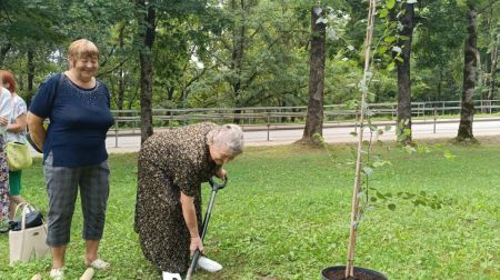 Aknīstes Sēļu parkā veido dekoratīvos stādījumus