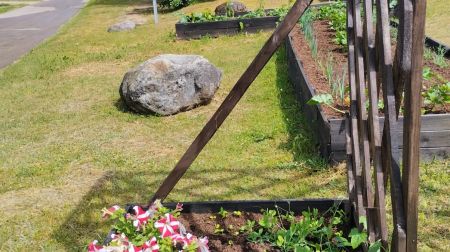 Viesītes mazpulcēni rosās urbānajā dārzā