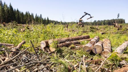 Notiek pirmie atmežošanas darbi poligona “Sēlija” izveidei