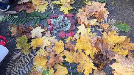 Izaicinājumu “3 kilometri un 30 sekundes” Jēkabpils novadā pieveikuši teju 1000 dalībnieki