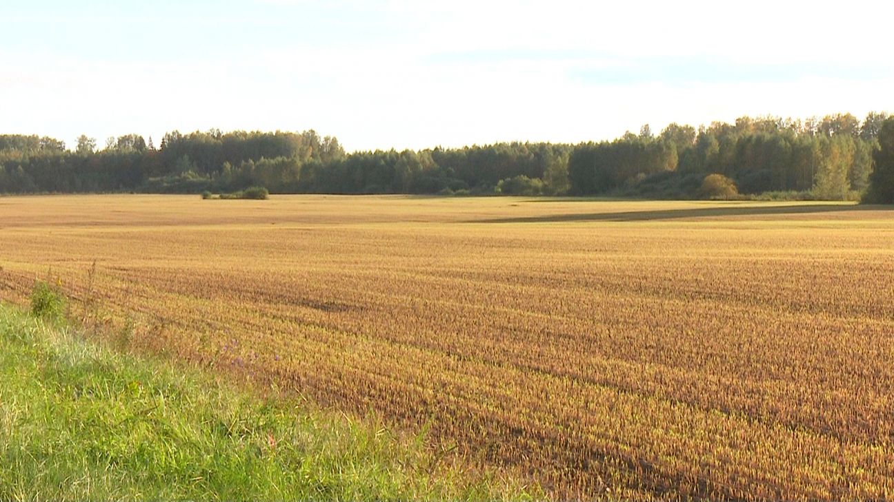 Mazie lauksaimnieki varēs pieteikties atbalstam
