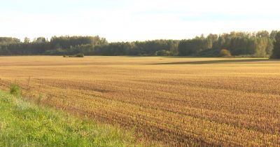 Mazie lauksaimnieki varēs pieteikties atbalstam