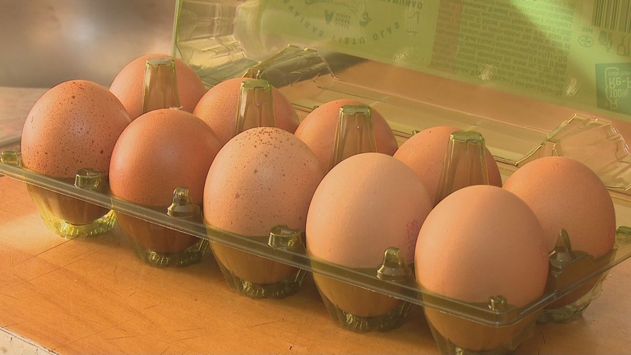 Jēkabpils novada pašvaldība atbalsta olu un olu produktu ražotnes izveidi