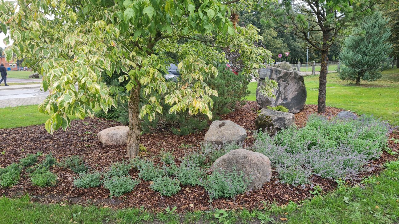 Jēkabpils reģionālās slimnīcas vēsturisko akmeni pārcels redzamākā vietā