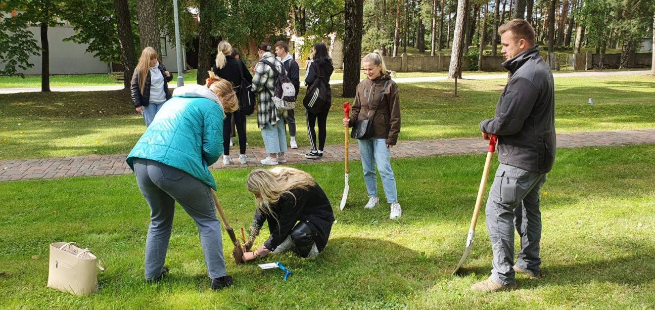 Līvānu Meža skvērā stāda jaunus kokus