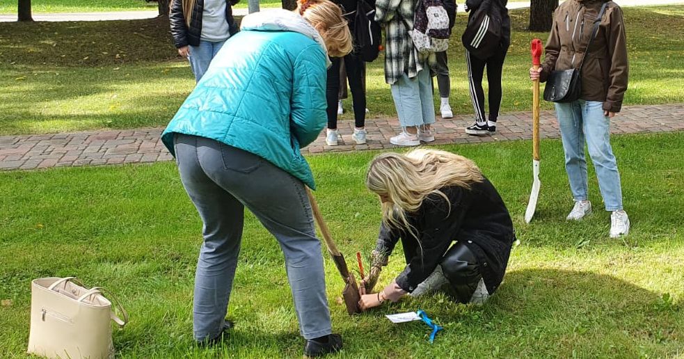 Līvānu Meža skvērā stāda jaunus kokus