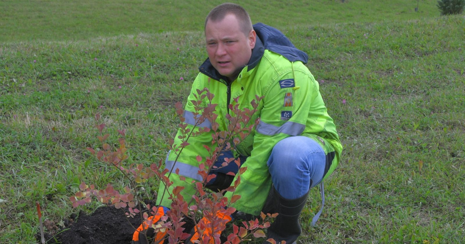 Jēkabpilī iestāda 40 ceriņus