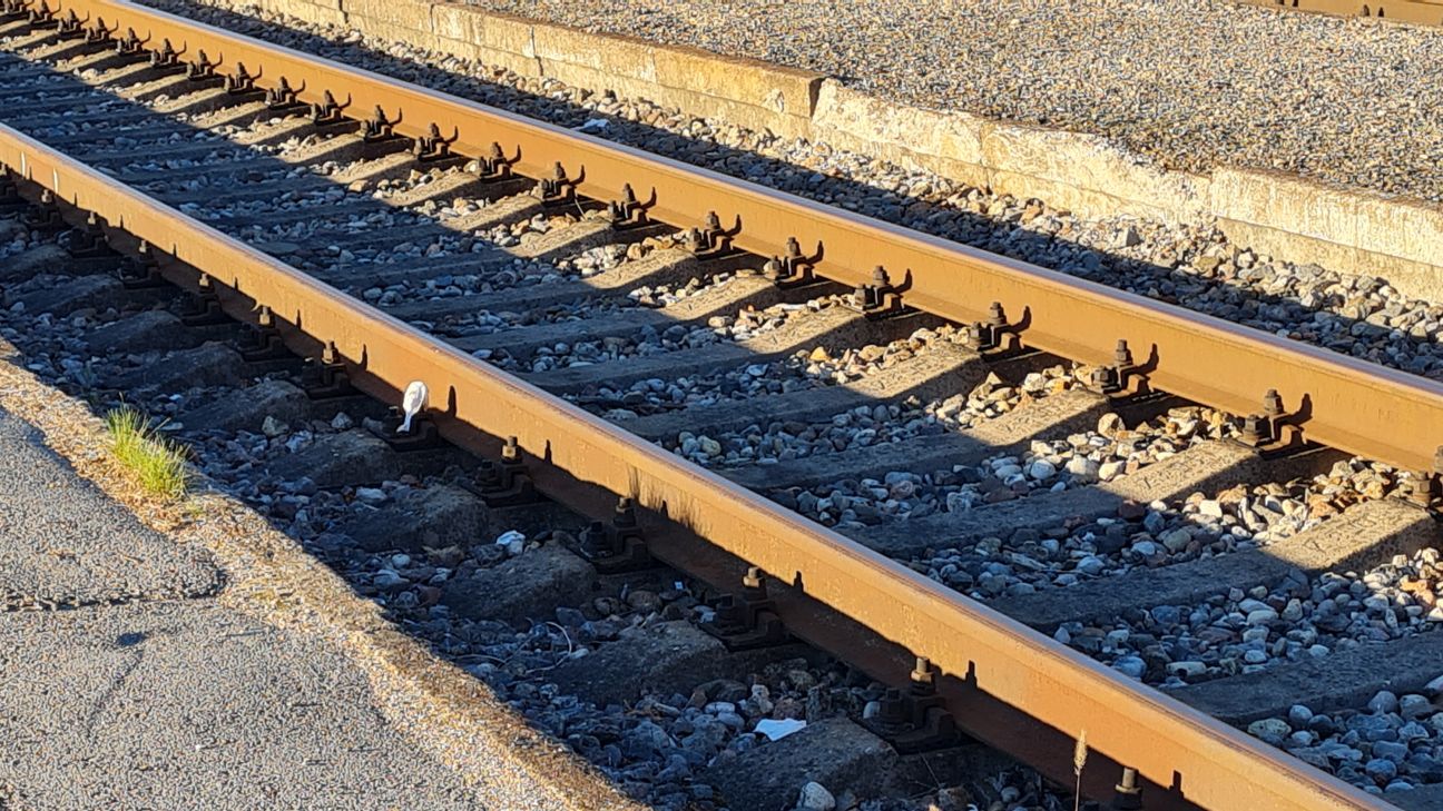 Sieviete vilcienā bez iemesla norauj stopkrānu