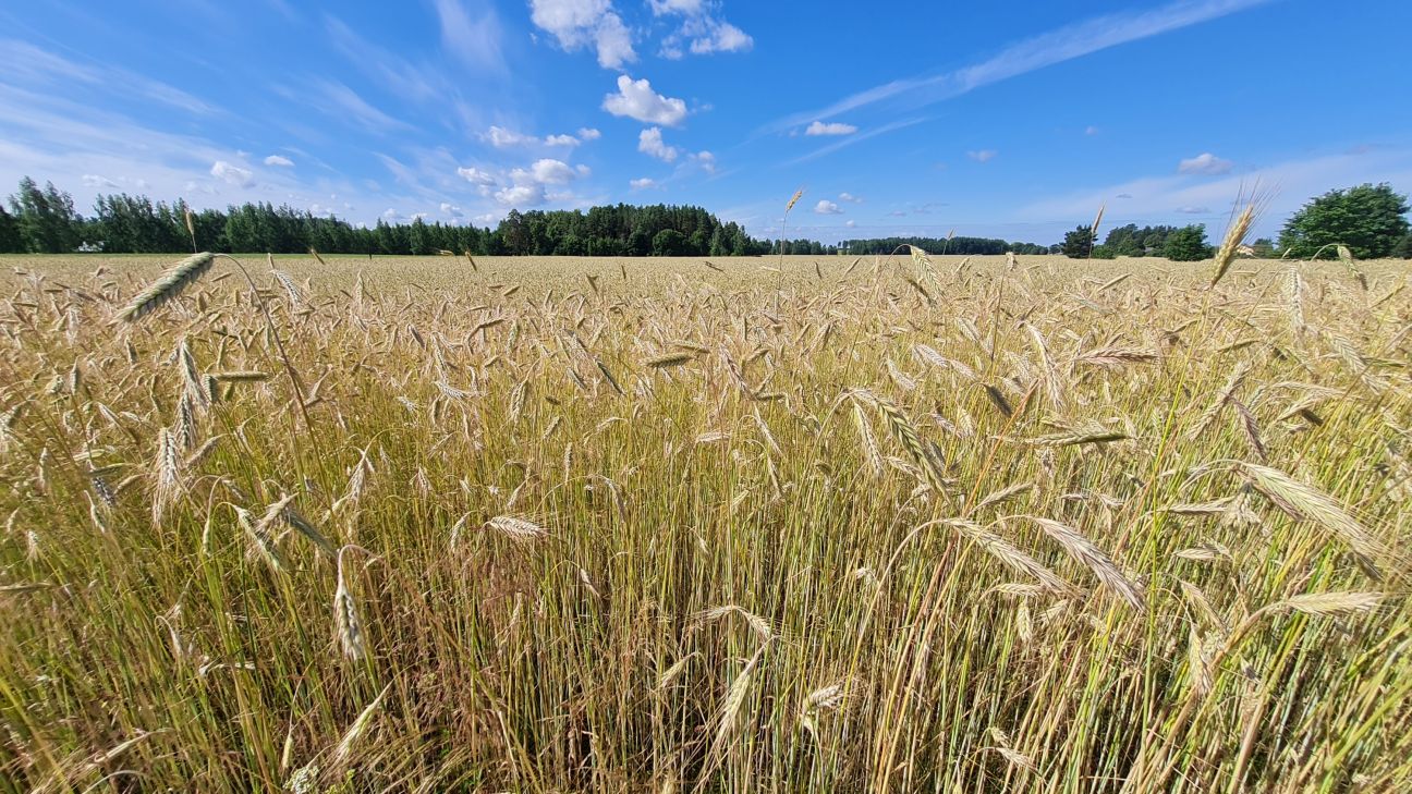 Sēlijas asociācija paraksta sadarbības memorandu ar Zemkopības ministriju
