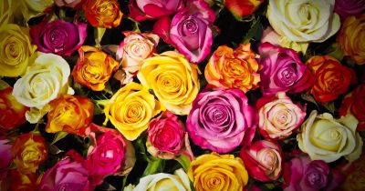 Pagarināts pieteikumu iesnieg&scaron;anas laiks pa&scaron;valdības apbalvojumiem