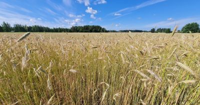 Sēlijas asociācija paraksta sadarbības memorandu ar Zemkopības ministriju