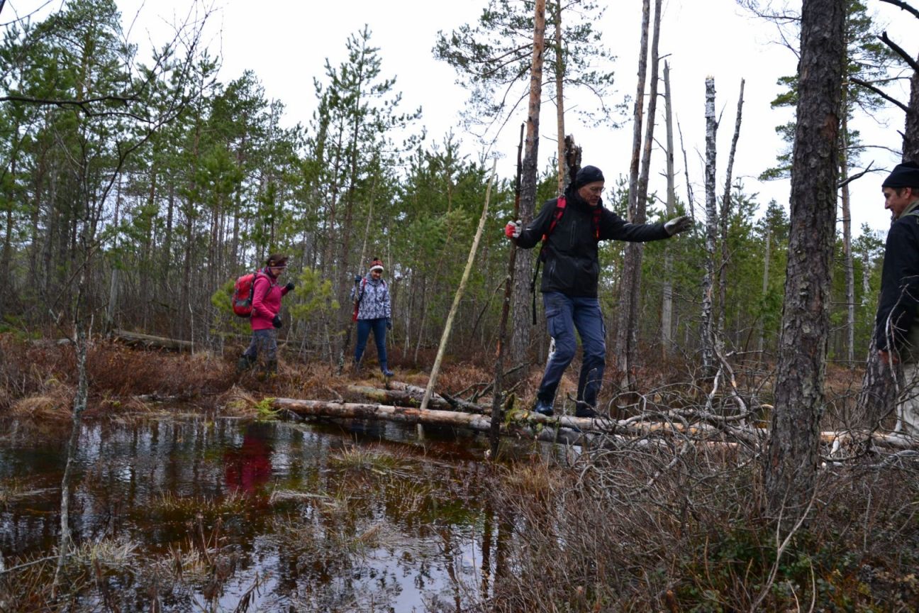 Līvānieši aicināti piedalīties 22 kilometru garā pārgājienā