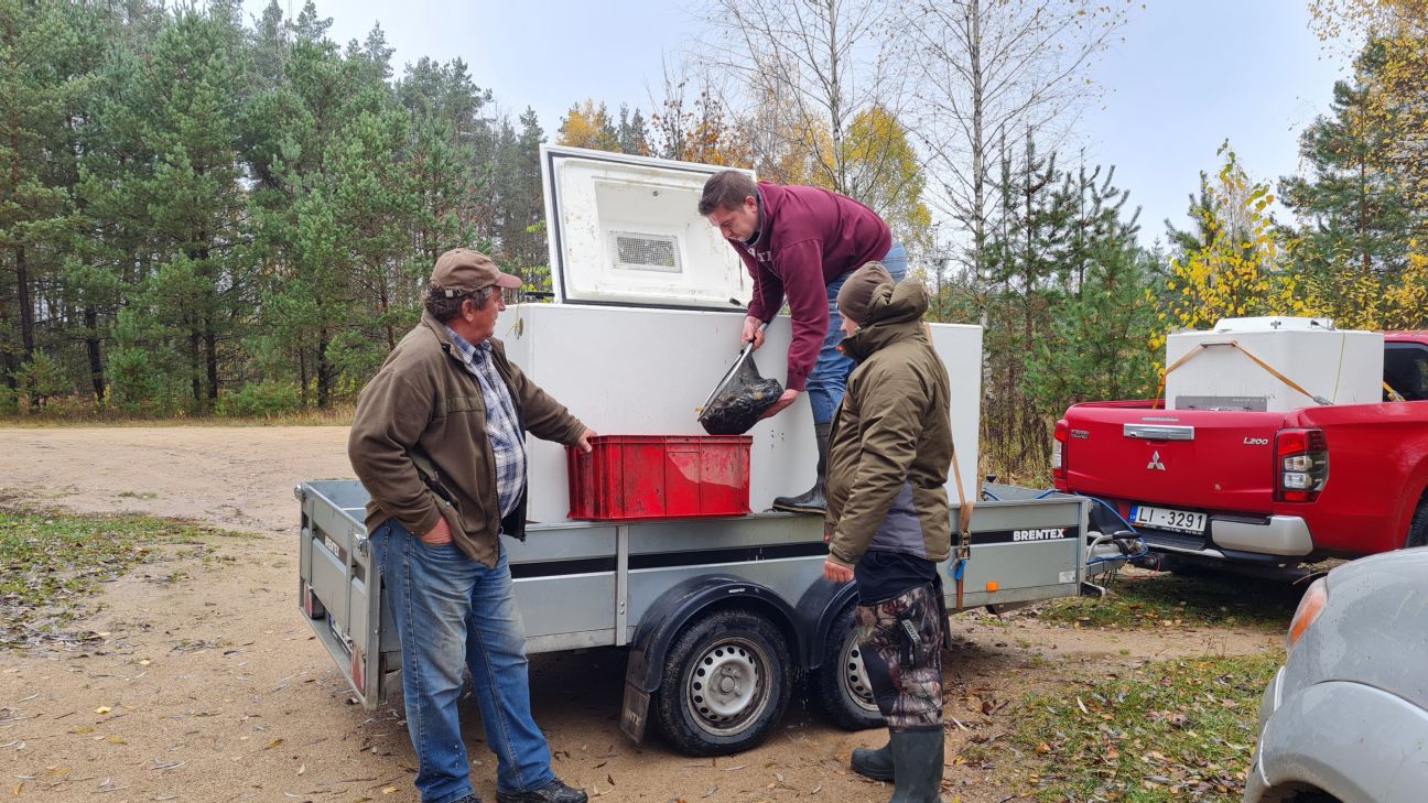 Radžu ūdenskrātuvē ielaiž zivju mazuļus