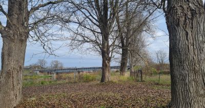 Līvānos spriedīs par papeļu nākotni