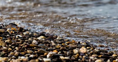 Aizkraukles novadā no upes izceļ bojāgāju&scaron;u cilvēku
