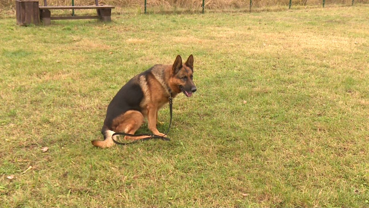 Aizkraukles novada skolās reidu laikā uzsāktas 39 administratīvās lietvedības