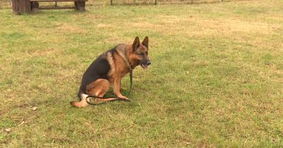 Aizkraukles novada skolās reidu laikā uzsāktas 39 administratīvās lietvedības