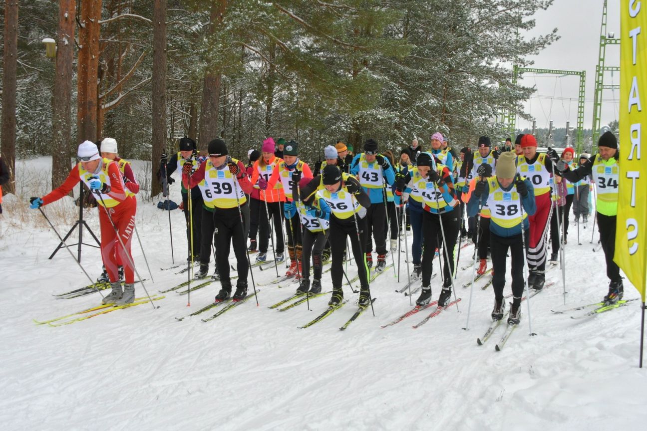Stundas slēpojumā “Mežaparka apļi” noslēpoti 276 apļi