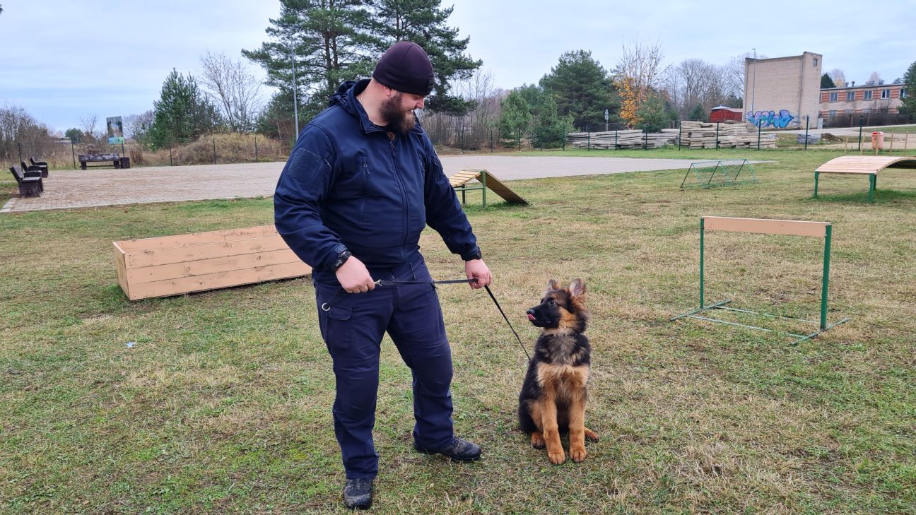 Jēkabpils tirgū topošais policijas suns atrod nelegālās cigaretes