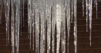 Māju īpa&scaron;nieki aicināti novākt lāstekas