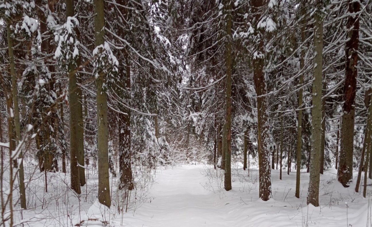 Gārsenē izveidota slēpošanas trase