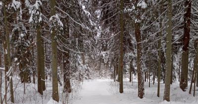 Gārsenē izveidota slēpo&scaron;anas trase