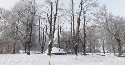 Sakopti koki pie pieminekļa kritu&scaron;ajiem Aug&scaron;kurzemes partizāniem