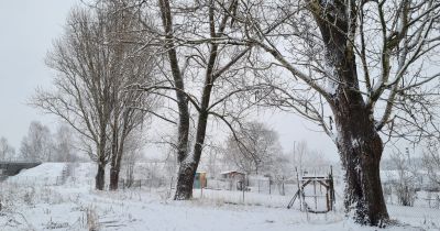 Līvānie&scaron;i neatbalsta balto ap&scaron;u izcir&scaron;anu Dubnas krastos