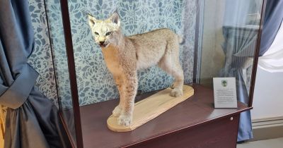 Par godu Jēkabpils dzim&scaron;anas dienai iespēja piedalīties erudīcijas spēlē