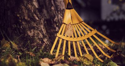 Lielā Talka &scaron;ogad norisināsies 22.aprīlī