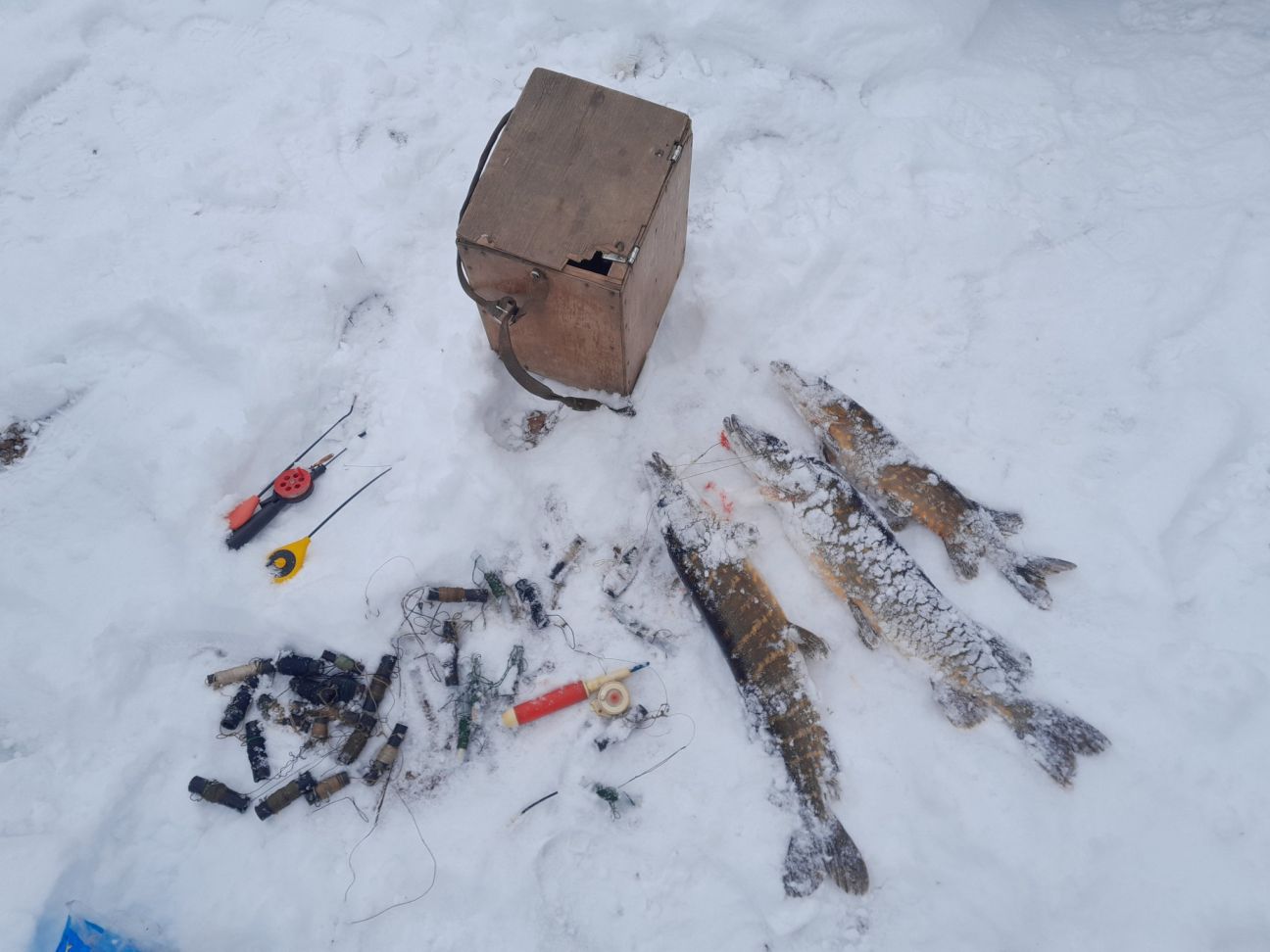 Pērn Jēkabpils novada ūdenstilpēs uzsākti 219 administratīvo pārkāpumu procesi