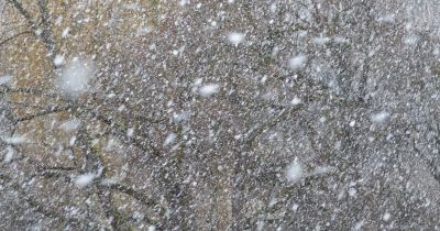 Sestdien Latvijā gaidāma sniega vētra