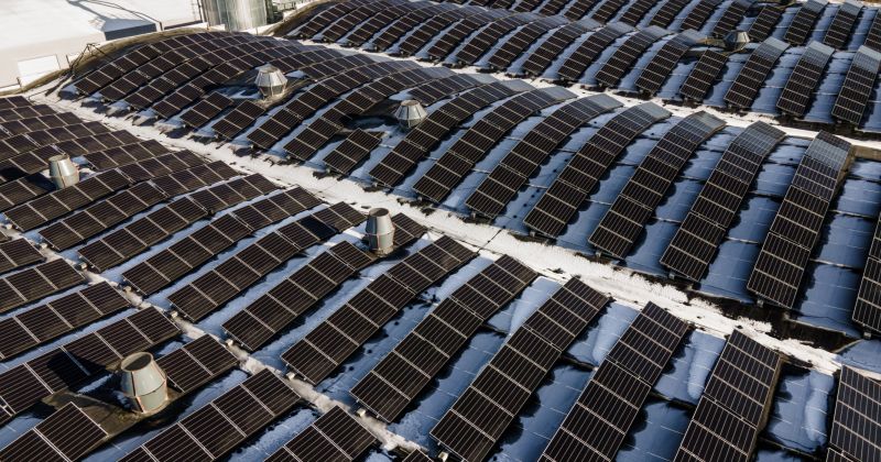 SIA &ldquo;O&scaron;ukalns&rdquo; ražotnē uzstādīts viens no apjomīgākajiem saules paneļu parkiem Latgalē