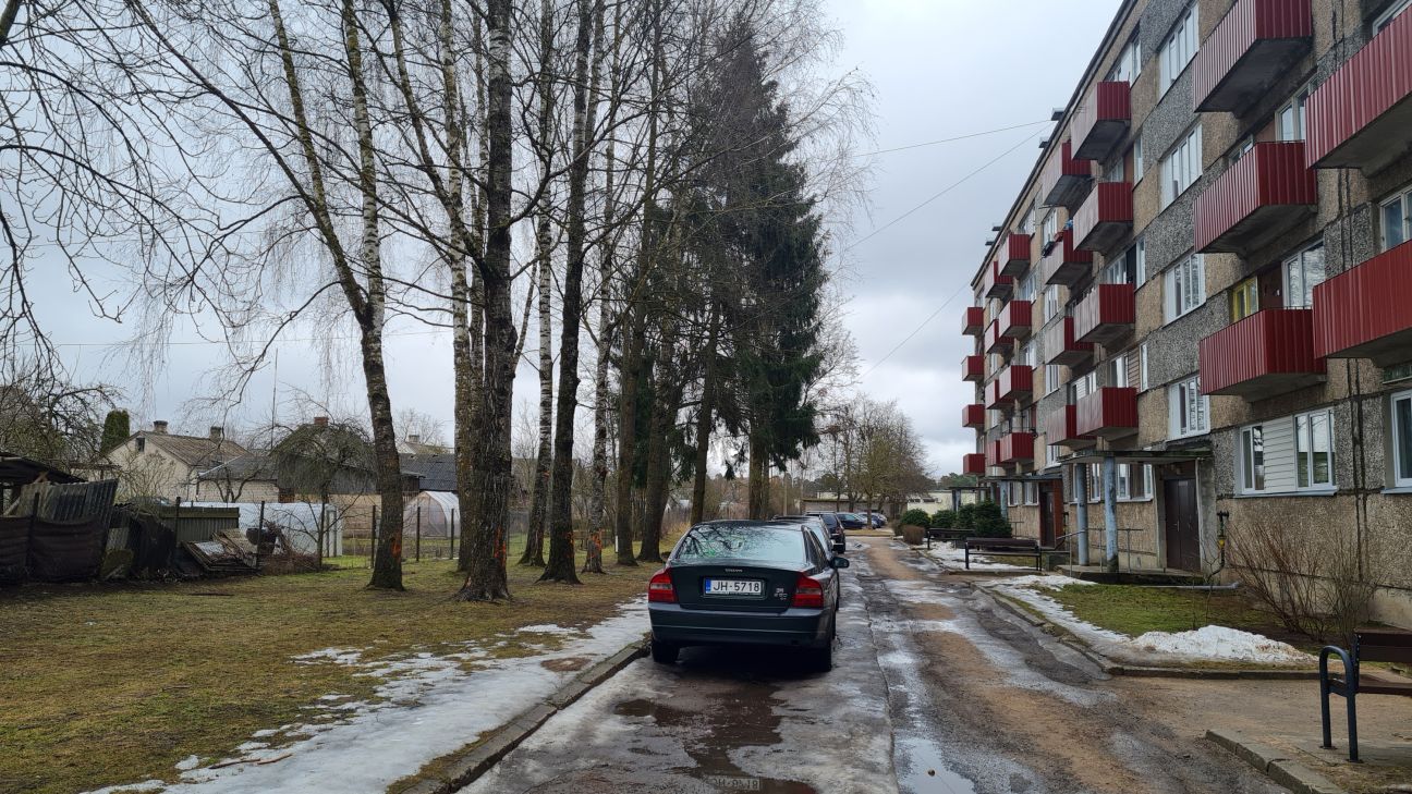Jēkabpilieši protestē pret plānoto koku zāģēšanu