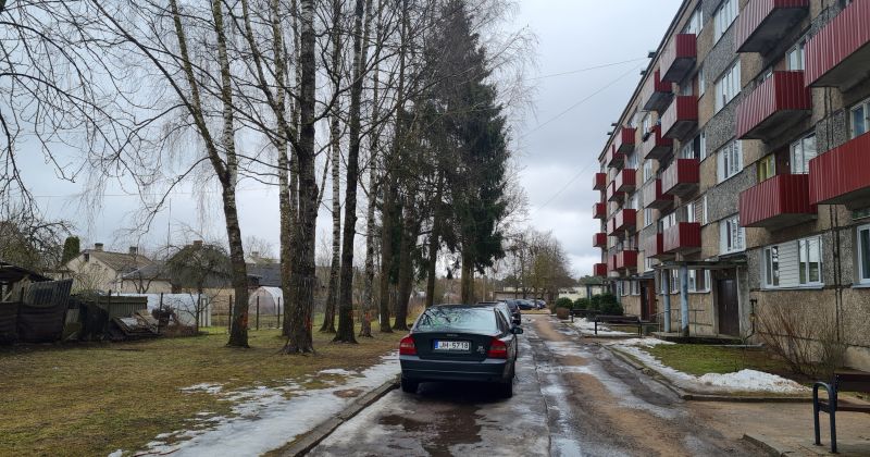 Jēkabpilie&scaron;i protestē pret plānoto koku zāģē&scaron;anu