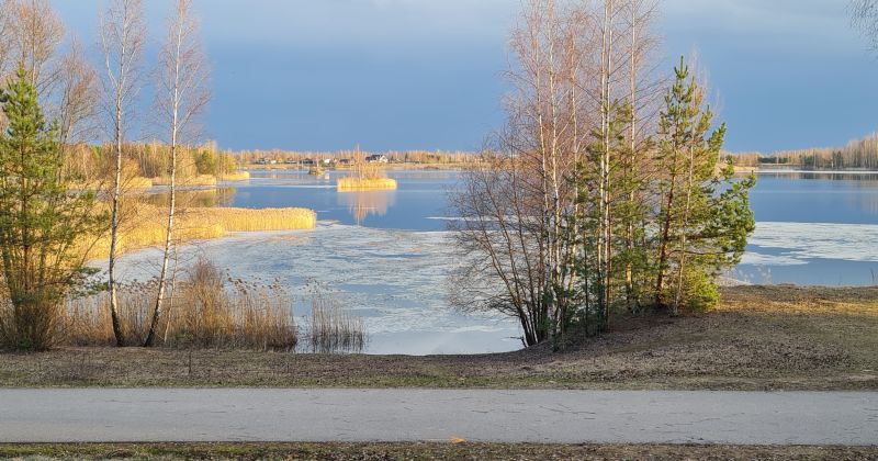 Kļūs aukstāks, un daudzviet veidosies jauna sniega kārta