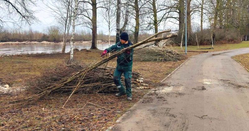 Sākti Krustpils saliņas sakop&scaron;anas darbi