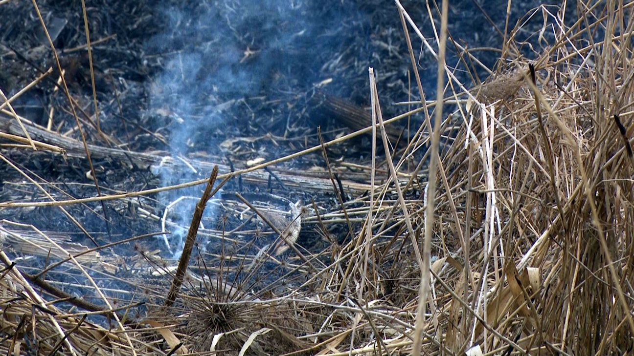 Jēkabpilī reģistrēti šīs sezonas pirmie kūlas ugunsgrēki