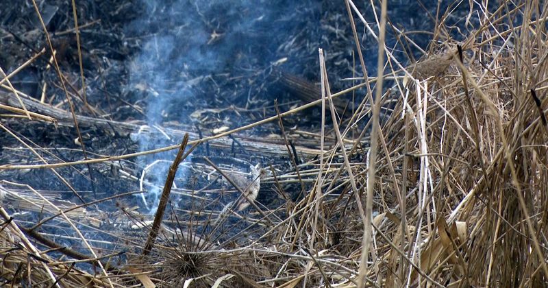 Jēkabpilī reģistrēti &scaron;īs sezonas pirmie kūlas ugunsgrēki