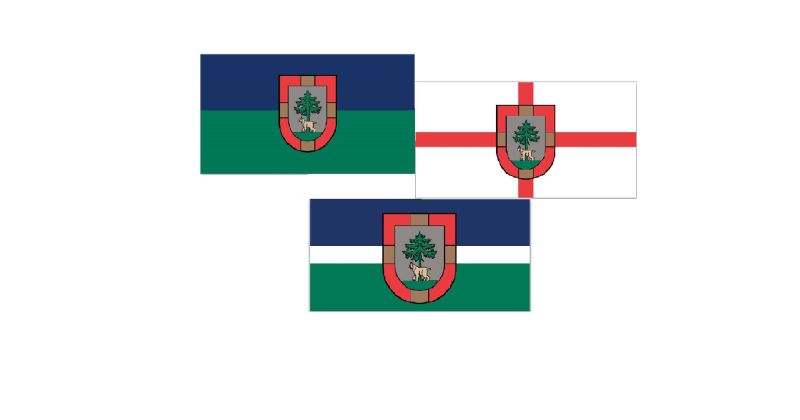 Izstrādāti jaunā Jēkabpils novada karoga varianti