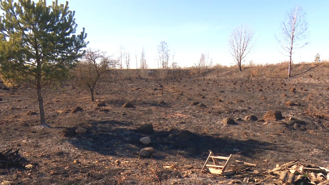 Jēkabpilī otro dienu pēc kārtas – seši kūlas ugunsgrēki