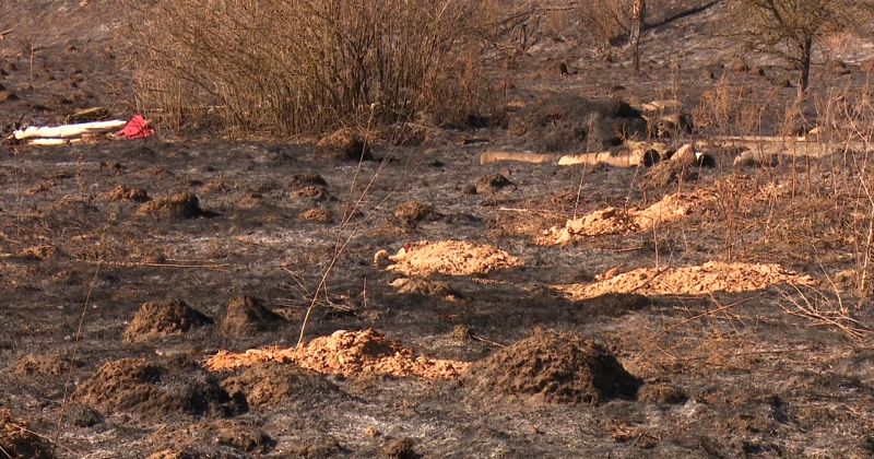 Jēkabpils novadā &ndash; pieci kūlas ugunsgrēki