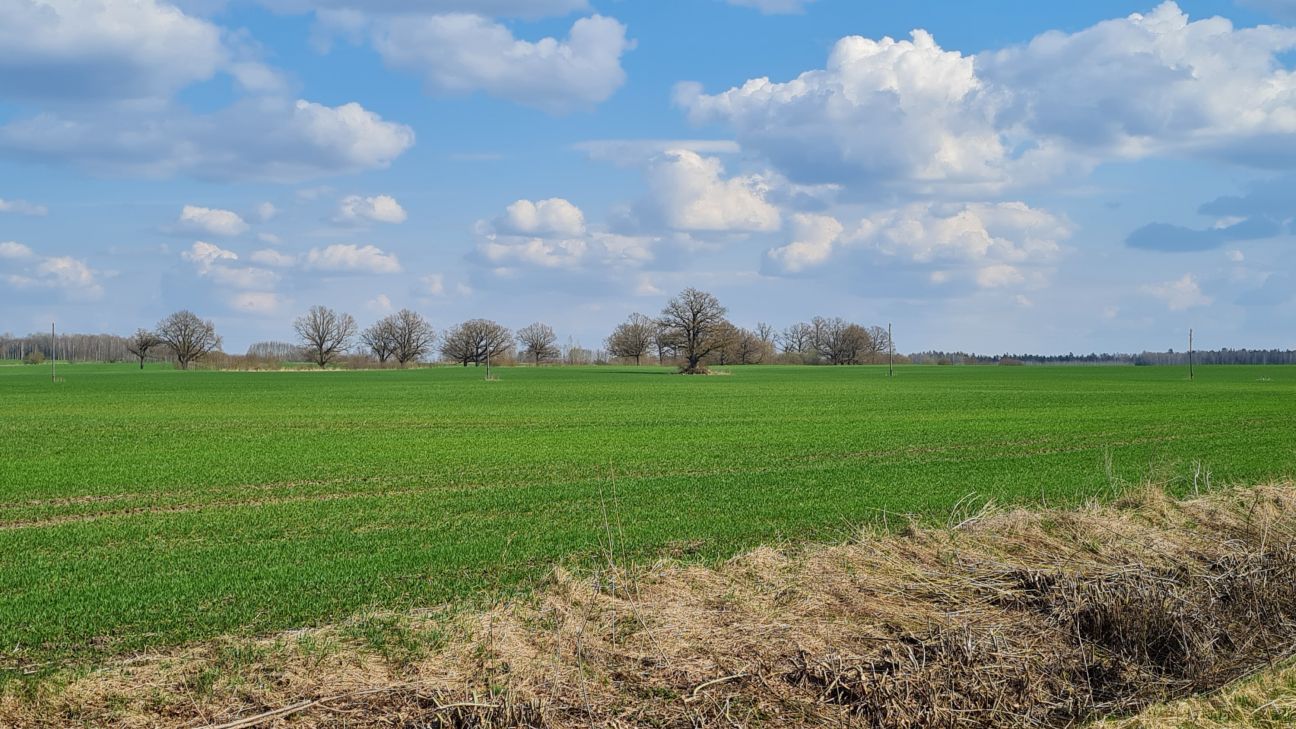 12.maijā Līvānos būs konsultācijas par pieteikumu pildīšanu platību maksājumiem