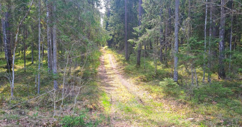 1.maijā sāksies meža ugunsnedro&scaron;ais periods