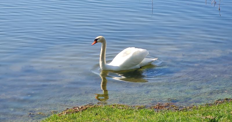 Radžu ūdenskrātuves peldvieta saņems Zilo Karogu